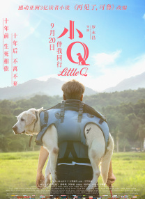 国产日韩欧美在线观看不卡